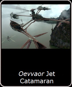 Oevvaor Jet Catamaran