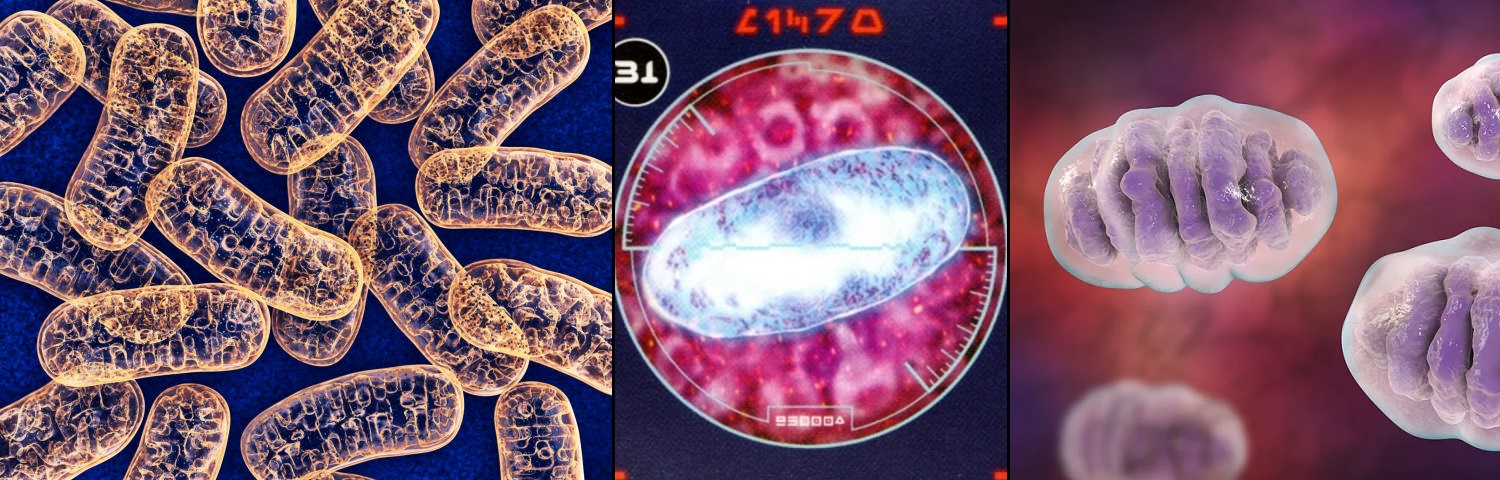 Midi-cholorians and the Whills