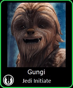 Jedi Gungi