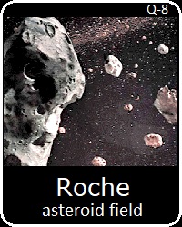 Roche Asteroids