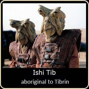 Star Wars Ishi Tib